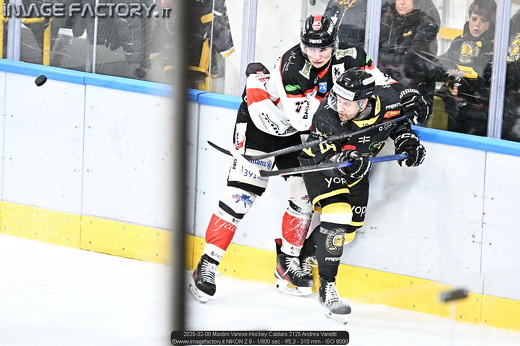 2025-02-08 Mastini Varese-Hockey Caldaro 2125 Andrea Vanetti